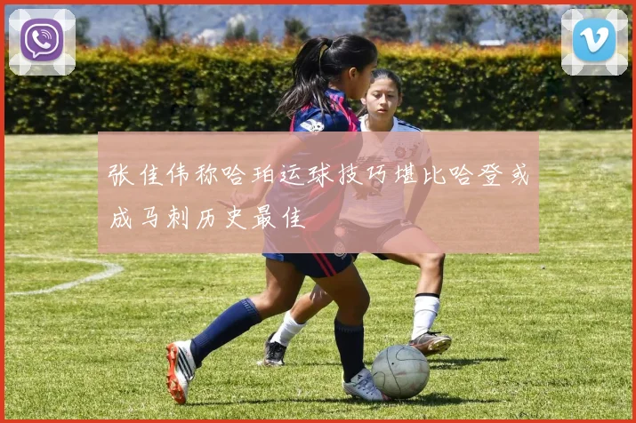 张佳伟称哈珀运球技巧堪比哈登或成马刺历史最佳