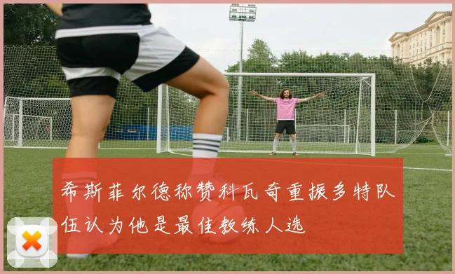 希斯菲尔德称赞科瓦奇重振多特队伍认为他是最佳教练人选